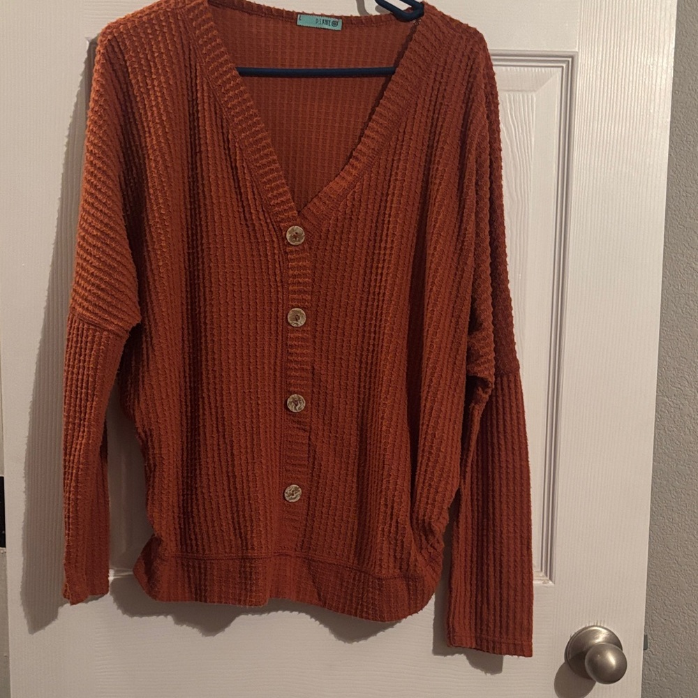 Cozy Rust V Neck Sweater